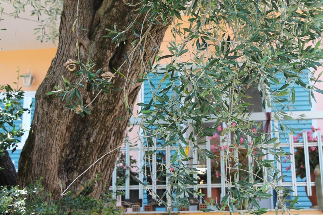 Theama Corfu Marathias Exterior foto